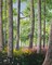 Enchanted Forest Poster Print by James Redding - Item # VARPDX12766HH